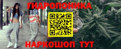 тгк Пушкино