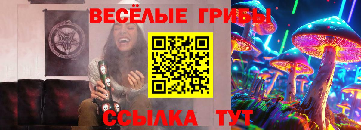 Псилоцибиновые грибы GOLDEN TEACHER  Вход с VPN  Сухой Лог 